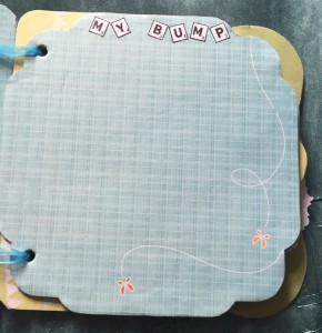 Bump Planner 3.8  