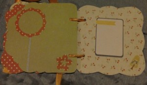 Bump planner 1.7 
