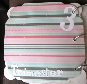 Bump planner 2.7 